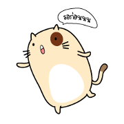 Caramel : The fun cat