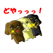 it is bowwow a trio