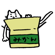 Cat of eyebrows 2