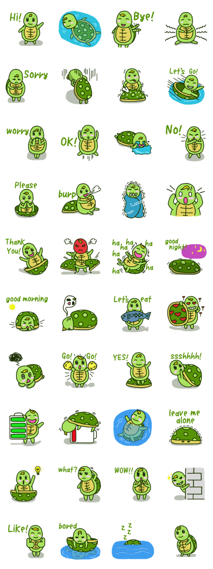 Pretty Little Turtle