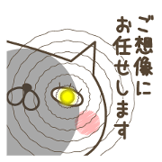 Cat Witch