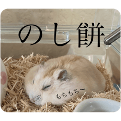 Michael_20200506151825