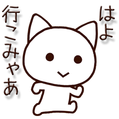 Nagoya dialect cat!