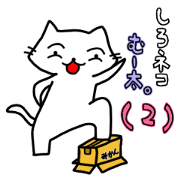 White cat Muta's. part2