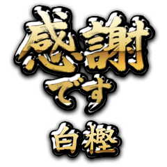 【白樫】金の筆文字（感謝）