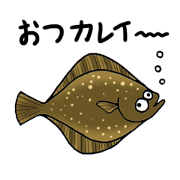 Fish picture book 2