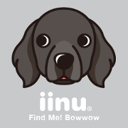 iinu - Flat Coated Retriever