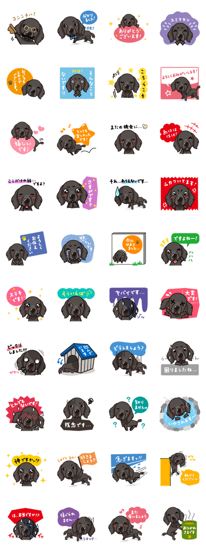 iinu - Flat Coated Retriever