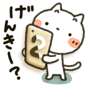 Simple white cat8