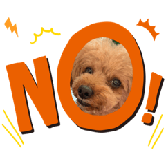 nanami_20200506163756