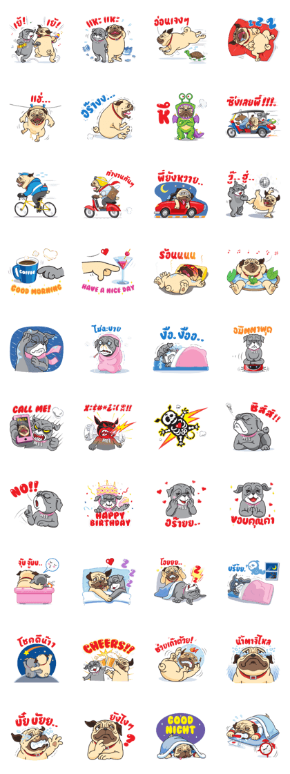 "Moo" & "Mee" : 2Pugs (Thai)