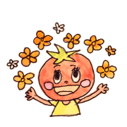 Tomaty