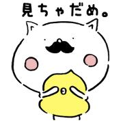 Respectable beard of cat and Soft birds