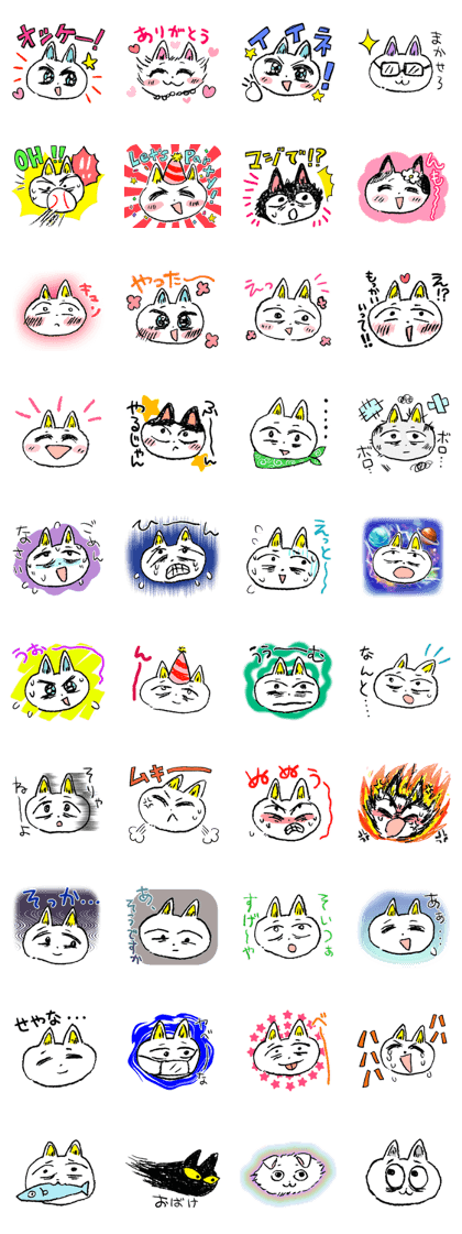 HIROSHI the CAT