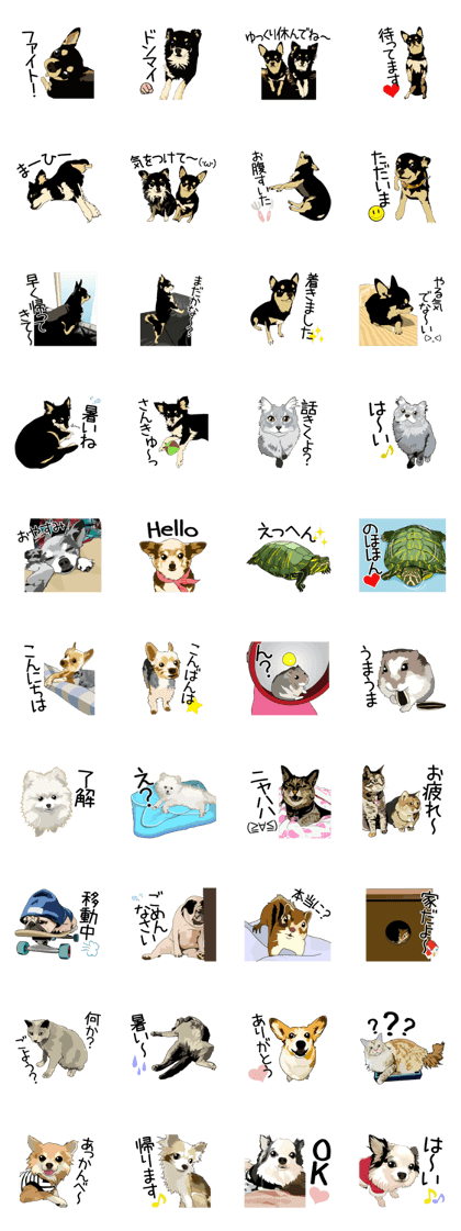 Chihuahua Coco & Louis and Friends vol.2