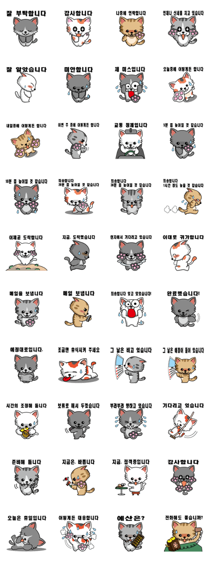 Cat business Korean version