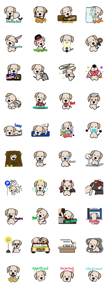 Labrador Bi II