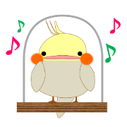 Mischievous a parakeet cyu3