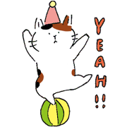 FunnyCat teacher & friends