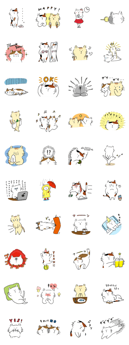 FunnyCat teacher & friends