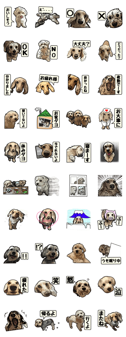 Real dog 's 2