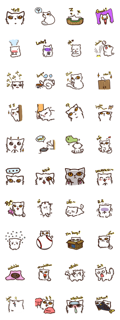 the crazy cat