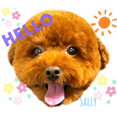 Sally_20200506205612