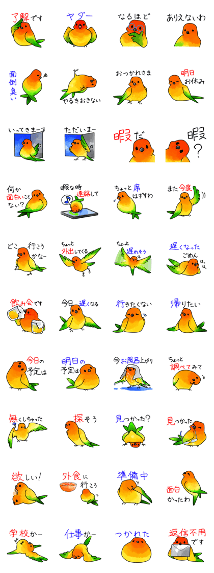 Sun Conure 2(birds)