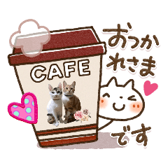 うちの子シリーズ『チョコ&モナカ』