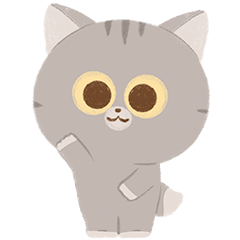 : Cute Gray Cat :