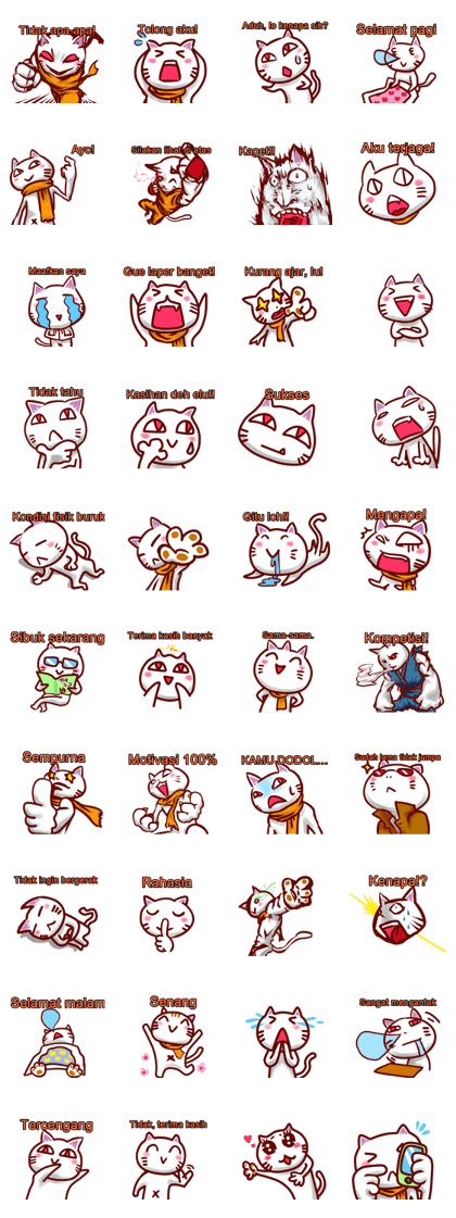 Daily life of white cat ! (in Indonesia)