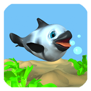 3D panda dolphin "Shah" (English ver.)