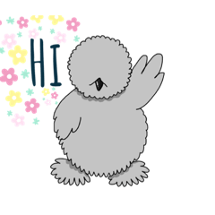 Silkies_2020
