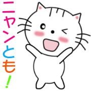 Daily downright cute white cat
