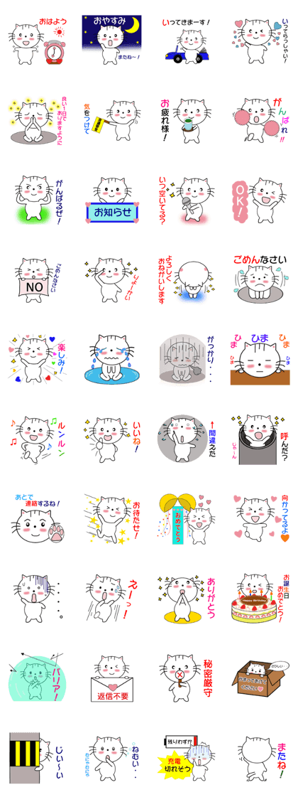 Daily downright cute white cat