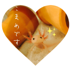 kayo_20200506224355