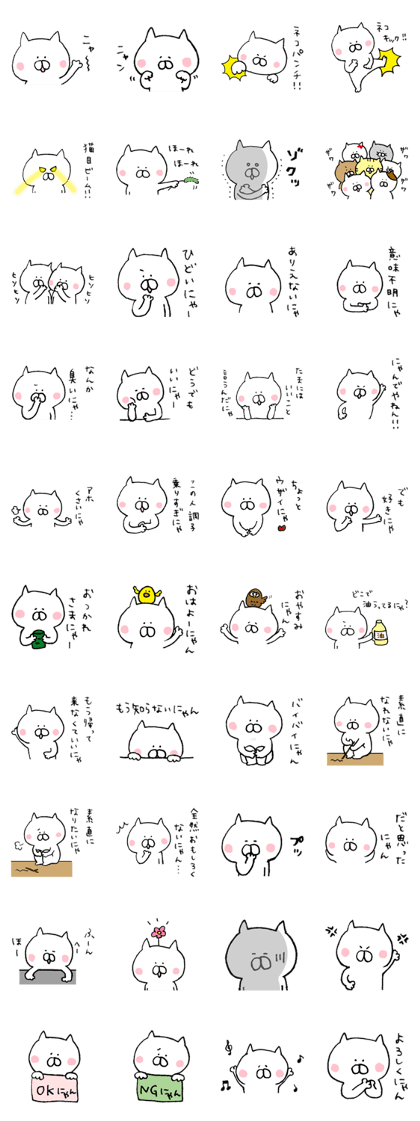 Word of a dry cat
