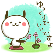 Panda Rabbit 2
