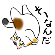 Happy-come-come 2