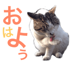 SHERRY_20200507 Tama-Jiro