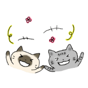 Tom&Mugi