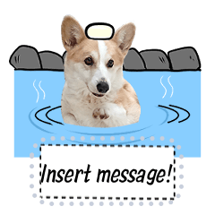 Fluffy Corgi message stickers!