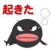 fish world