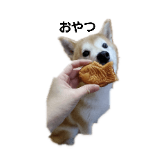 yuki88_20200507115859