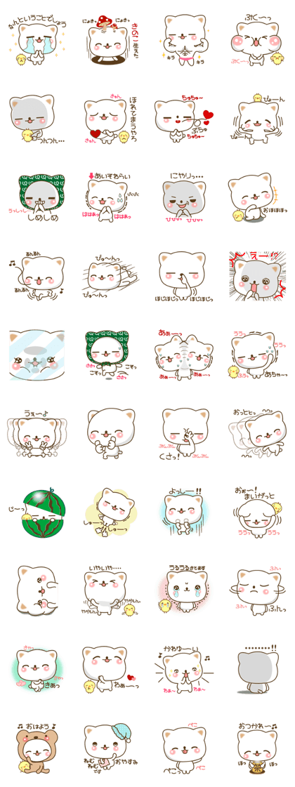 The cute white cat 2