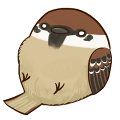 fat sparrow