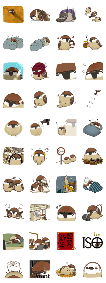 fat sparrow