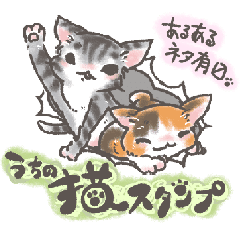 うちの猫スタンプ キリとココ Line スタンプ Line Store うちの猫スタンプ キリとココ Line スタンプ Line Store