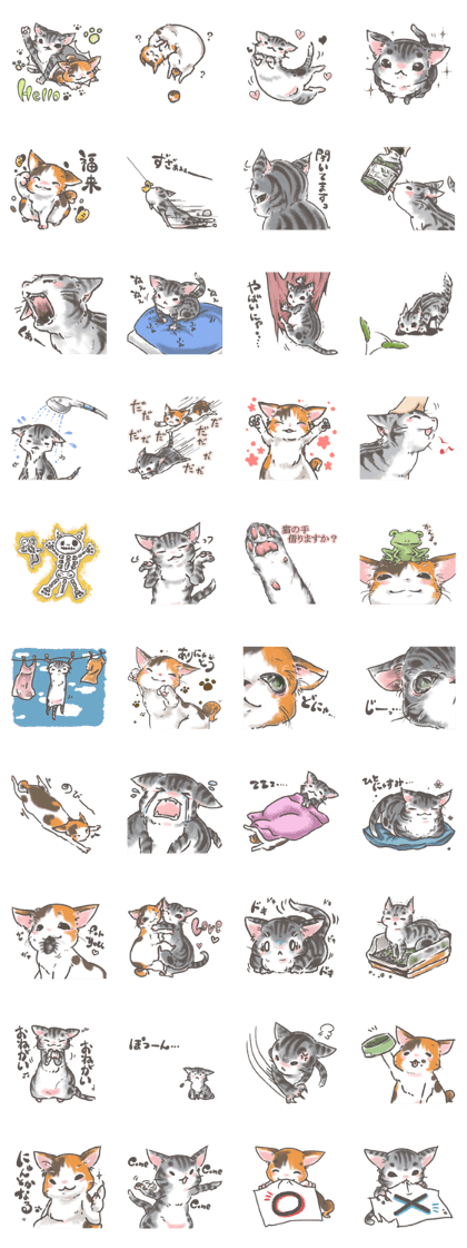 my cat sticker kiri and coco