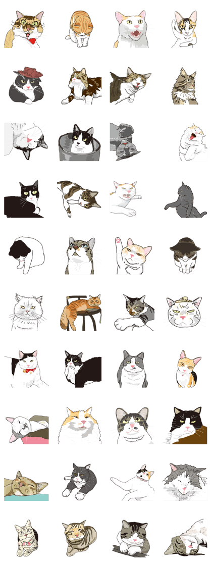 The cats to which love is dear